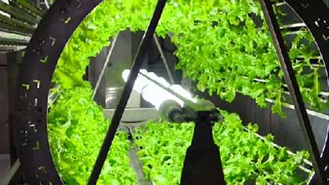 Ocean Grown Vegetables Don Jansen Sea Energy Agric...