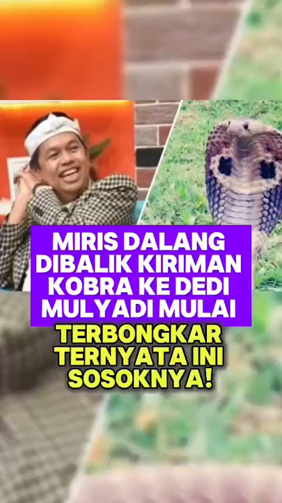 TAK SANGKA TERNYATA INI #dedimulyadi #kangdedimulyadi