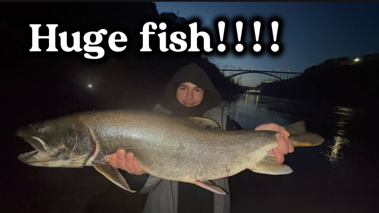 Are you Serious!!?? Lower Niagara Huge fish trout and steelhead!!! 