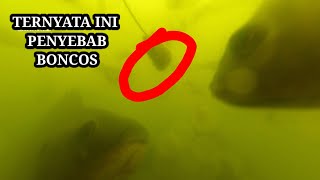 kenapa bisa boncos saat mancing? lewat kamera bawah air cek faktanya