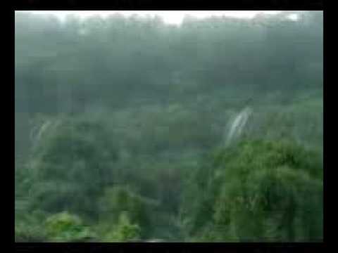 Amboli Ghat Waterfall video