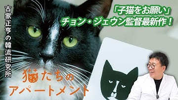 韓国映画「猫たちのアパートメント」
