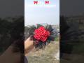 how to make ribbon rose bouquet 💐/ ribbon flower #aestheticrose #diyrose #flowermaking