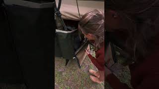 Lapa Ventures: Rapid setup for the Bush Lapa Miskruier.