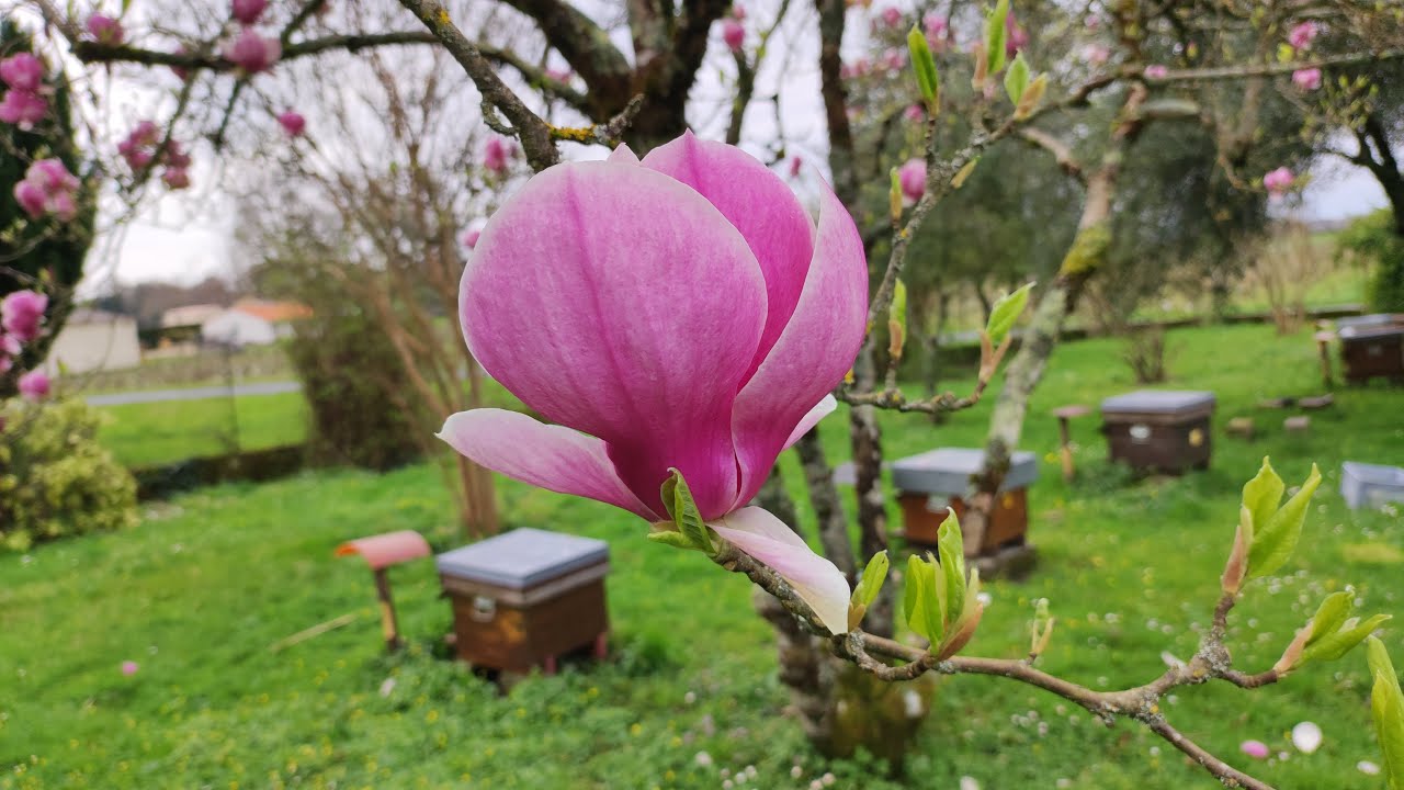 حرفة  التسول🤔🙆سلام الله عليكم🕊️