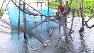 Amazing Net Fishing! Traditional Bamboo And Net  Trap Fishing