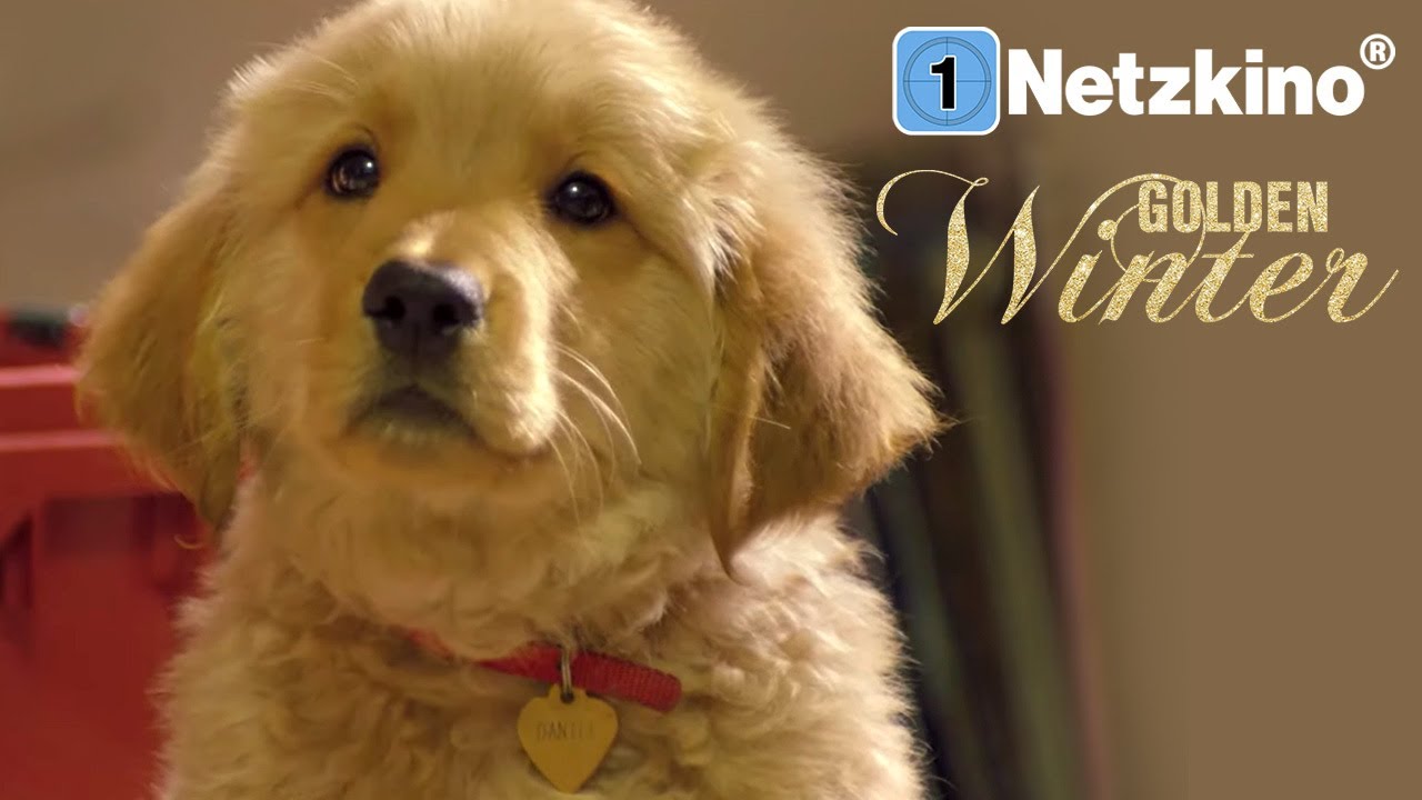 Golden Winter (FAMILIENFILM auf Deutsch in voller Länge, Komödie für die Familie, Film über Hunde)