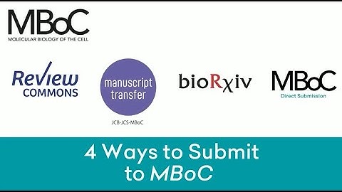 Four Ways to Submit to MBoC: Submission Type Details