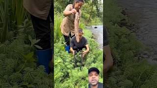 Fishing technique #shorts