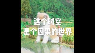 201803 这个时空是个因果的世界23833