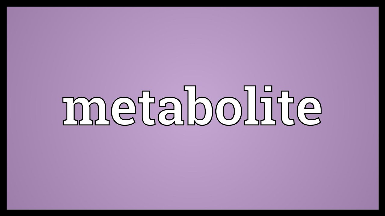 Metabolite Meaning YouTube