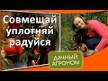 Совмещенные и уплотненные посадки на огороде