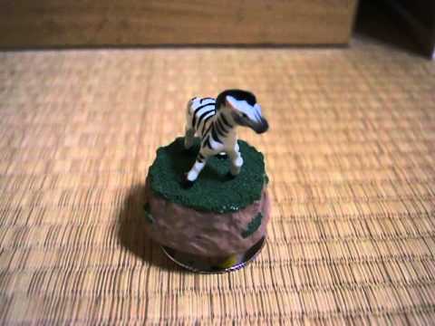 青春アミーゴ　オルゴール
