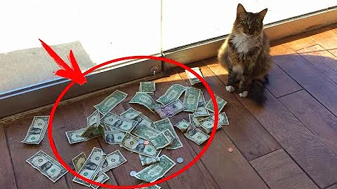 Каждый день 