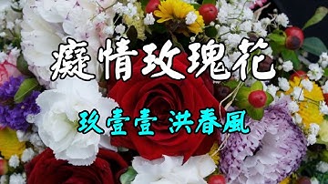 Thumbnail of 癡情玫瑰花 UNDER LOVE-玖壹壹 洪春風     我要送你九十九朵玫瑰花  我要唱心內的話乎你聽  我愛你我願意你不用怕  真正的癡情男子漢置這 就是我