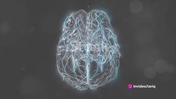 Unraveling the Mysteries: The Science of Memory