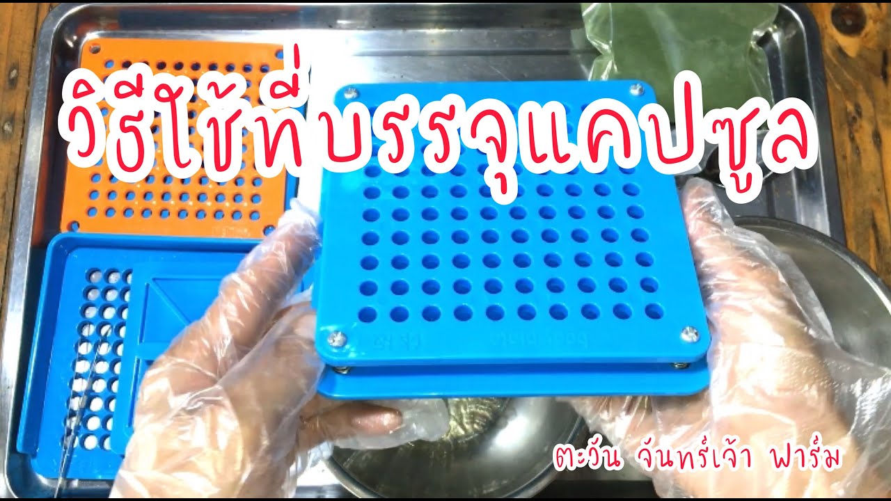 วิธีใช้ที่บรรจุแคปซูล | ขนาด แคปซูลข้อมูลล่าสุดที่เกี่ยวข้อง