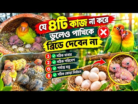 যে ৪টি কাজ না করে পাখিকে কখনোই ব্রিডে দিবেন না😮❌ যে ভুলগুলো আমরা করি🫡