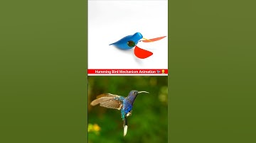 Hummingbird mechanism Animation 🐦👷‍♀️ #animation #engineering #mechanical #3d #cad 🔥