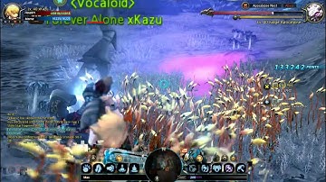 [Dragon nest] Mercenary spinning bug