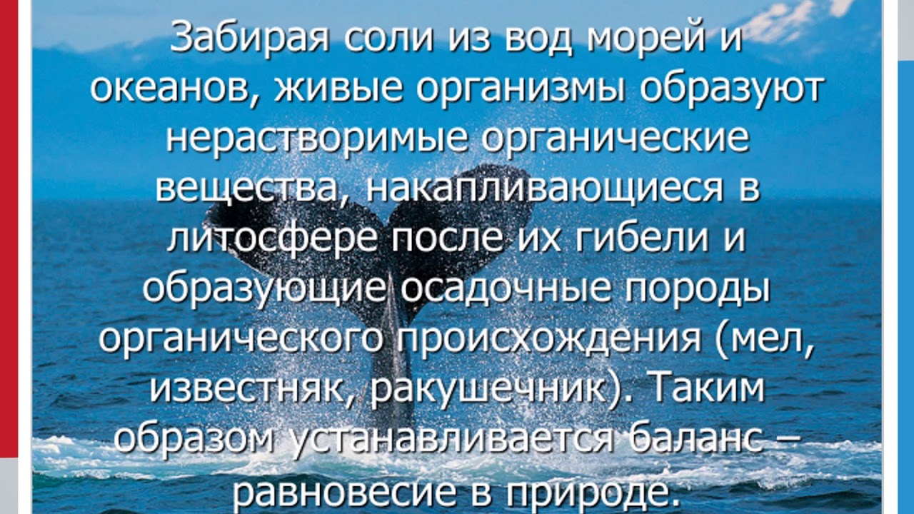 Условия открытых вод