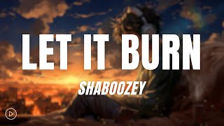 Shaboozey - Let It Burn (Lyrics)