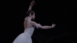 Marianela Nuñez - Giselle Entrance Act Ii Giselle, Royal Ballet