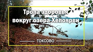 Тропа здоровья вокруг озера Хепоярви  Ленинградская область, п  Токсово