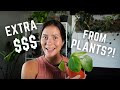 Make Extra Cash With Your Houseplants! | Selling Plants From Home EASY