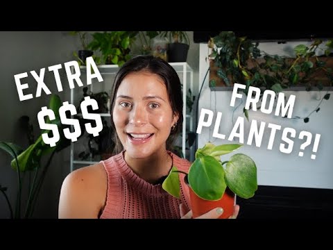 Video: How To Sell A Plant