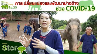 The Chang Story EP.23 การเปลี่ยนแปลงและพัฒนาปางช้าง ช่วง Covid-19 l The Chang Channel