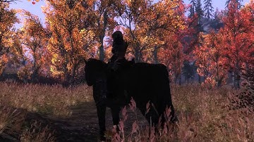 Riften - Skyrim LatePM Swaying Trees 01 Aspens Flora Overhaul - WATER - SMIM - COT