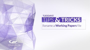 Tips & Tricks: Rename a file in CaseWare Working Papers