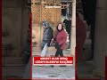 Abdest alan genç, yanına gelen kediye elleriyle su içirdi
