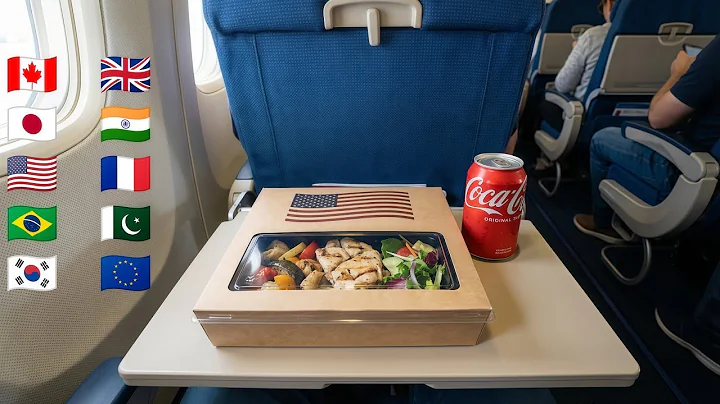 Which First Class Meal Would You Choose? ✈️ 20 Countries Satisfying Airplane AI VIDEO 