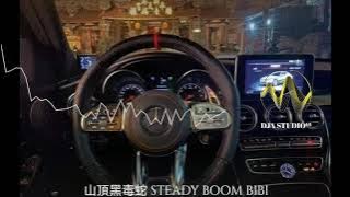 山頂黑毒蛇 STEADY BOM BIBI Remix 2022