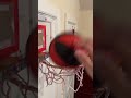 25 vs 75 basketball mini hoop  shorts