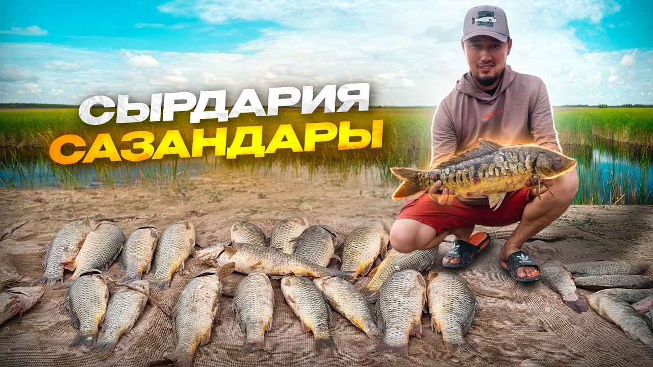 СЫРДАРИЯ өзенінің балығы. ТРОФЕЙ түсті👏
