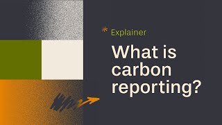 Explainer: Carbon Reporting