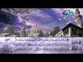 من روائع التلاوة فضيلة الشيخ هاني السماحي 