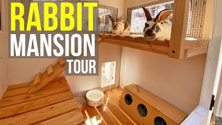 Luxury Rabbit Hutch TOUR!  Two Ears Up!