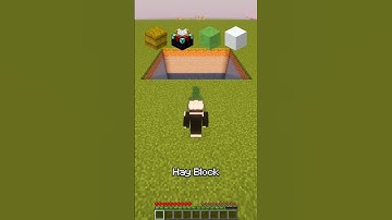 Which Block Saves You from Fall Damage? Part 1 🪂