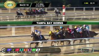 Vidéo de la course PMU PELICAN STAKES