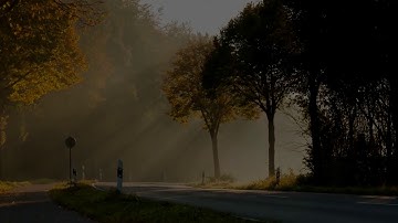 Bootstrap Popover with HTML