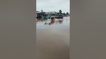 Bán dùm ông bạn chiếc ghe cào ở biển Bạc Liêu | Giá 80Triệu | LH 0858505499