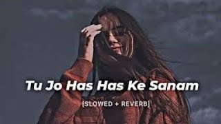 Tu Jo Has Has Ke Sanam | slowed x reverb | Raja Bhaiya 2003 | Udit Narayan, Govinda @Beatgirl4u