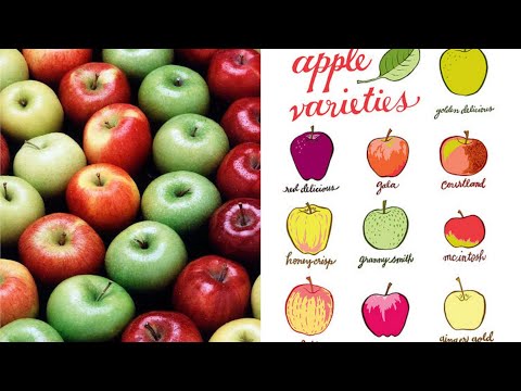 Video: Kaç farklı elma ağacı var?