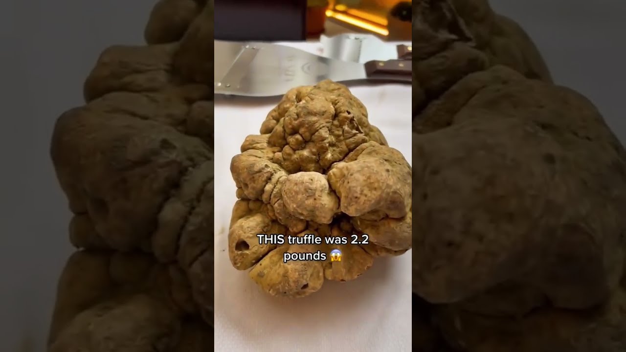Huge TWO-Pound Truffle | Food Network