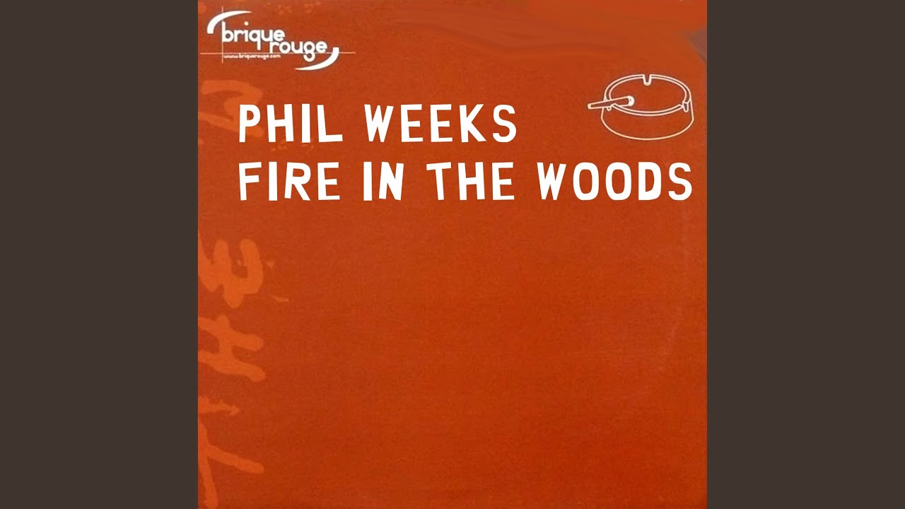 Fire in the Wood (David Duriez Plastic Music Dub)