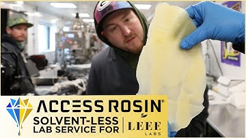 Solvent-less Lab Service with LEEF LABS | Access Rosin®